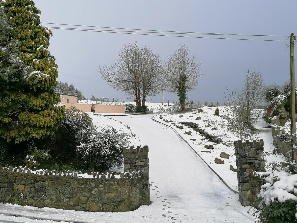 Carlingford Mountain And Sea Views Apartment Exterior photo